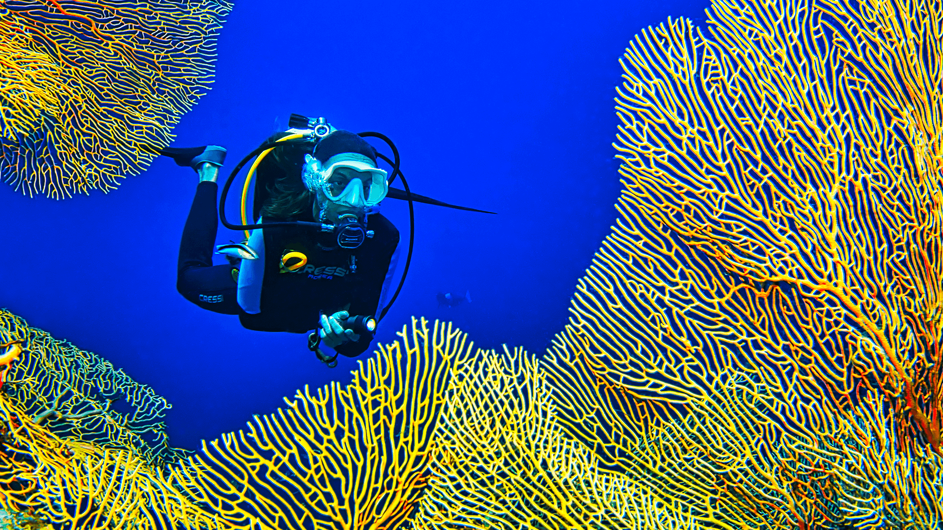 Mara-diving